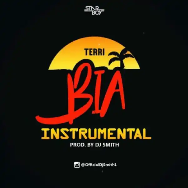 Instrumental: Terri - Bia (Prod. By DJ Smith)